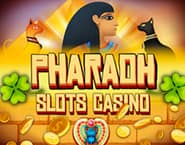 Jogos de casino gratis caca niqueis Cricket Star Jogos de casino gratis caca niqueis Cricket Star