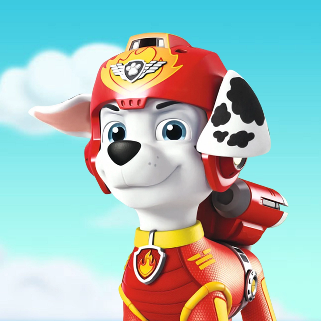 paw patrol air patroller aanbieding